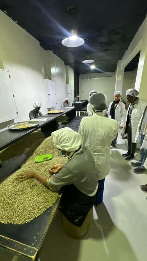Ethiopia coffee cupping class/Ethiopian food injera making - Making injera on a traditional mitad