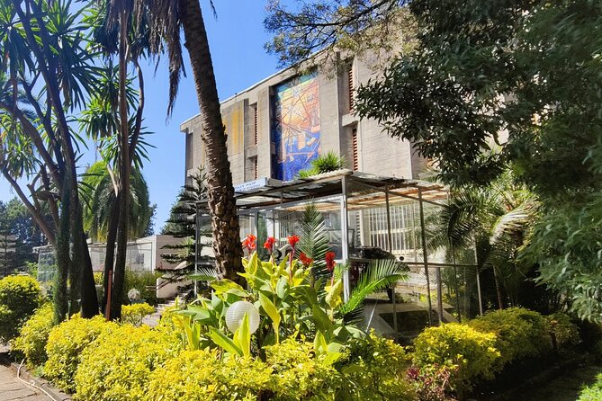 Every day Addis Ababa City Tour - Walking through Merkato with a local guide