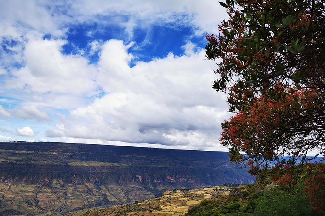 Excursion to Debre Libanos Monastery - Is the $153.85 price fair?