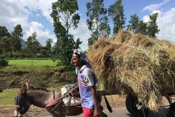 Excursion to Melka Kuntre, Tiya and Adadi Mariam - Leaving Addis Ababa for three very different sites