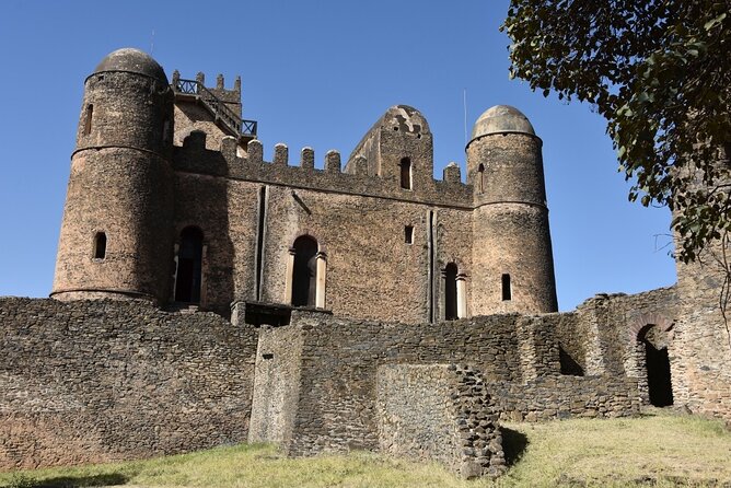 Explore Northern Ethiopia in 6 days 5 nights by flight - Day 4: Simien Mountains and Gelada baboons