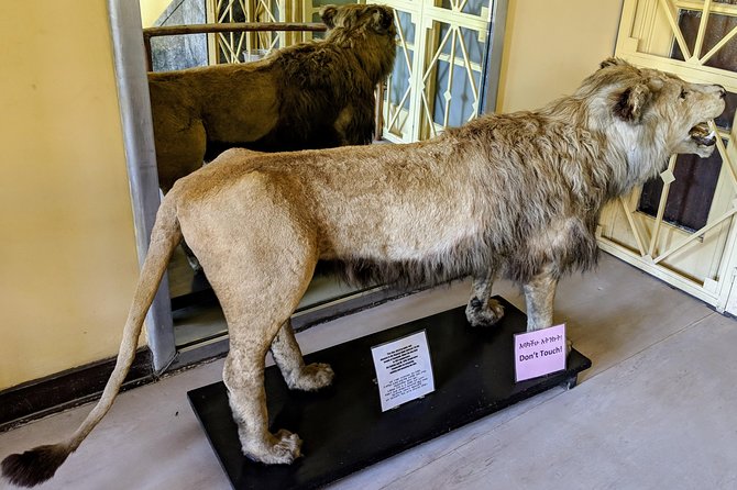 Explore the Best of Addis Ababa City Tour - Starting at the National Museum with Lucy and Ardi
