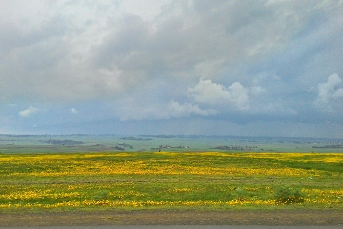 Explore the Ethiopian Rift Valley Lakes and the UNESCO Site of Steles of Tiya - Lake Ziway for birds and lakeside air