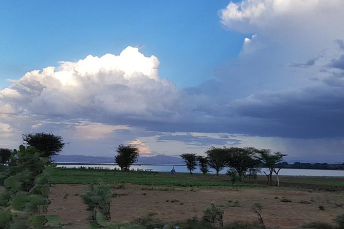 Explore the Ethiopian Rift Valley Lakes and the UNESCO Site of Steles of Tiya - Transport, group size, and the true value of $375