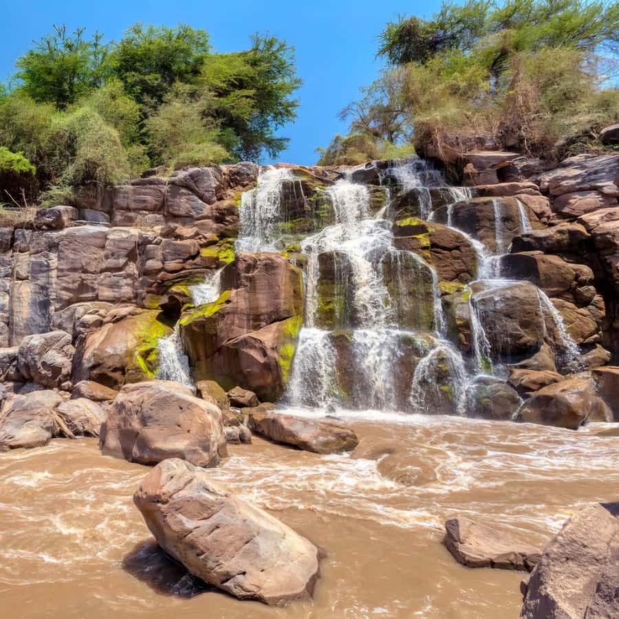 From Addis Ababa: Day Trip To Awash National Park - Why Awash works as a one-day trip