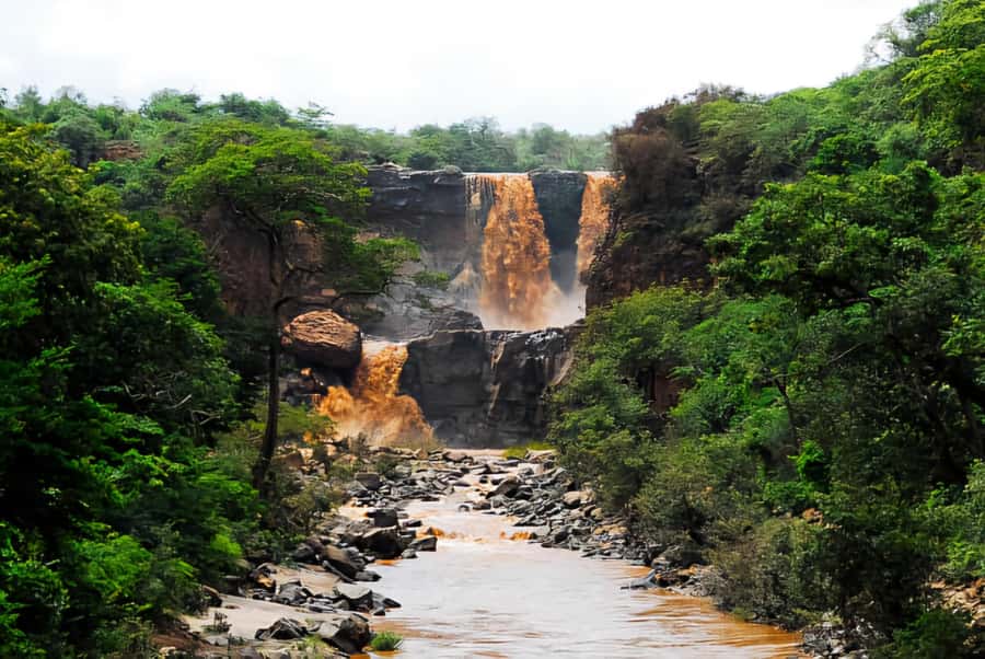 From Addis Ababa: Day Trip To Awash National Park - What the private format adds
