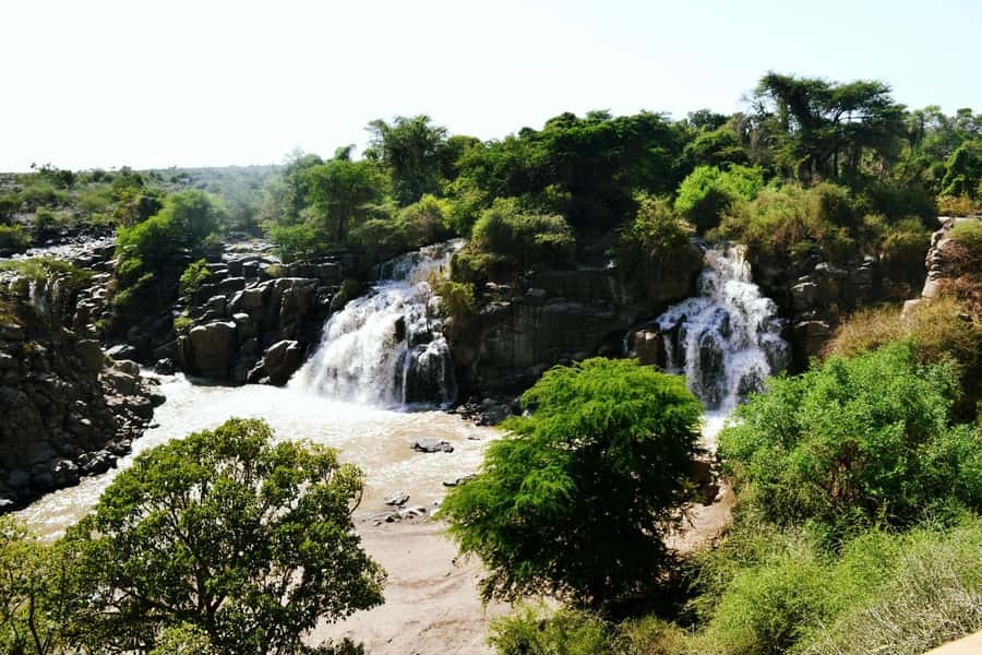 From Addis Ababa: Day Trip To Awash National Park - Is $350 per person good value?
