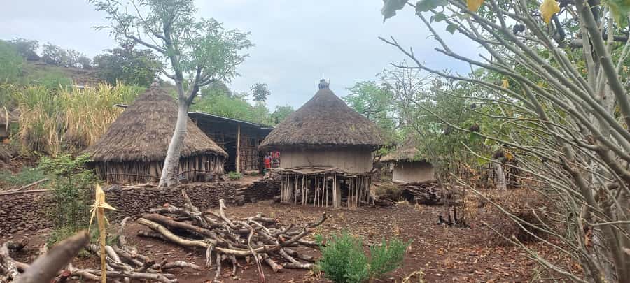 From Arbaminch: 5 Days Omo Valley Tribal Tours - Group Size, Guides, and Comfort