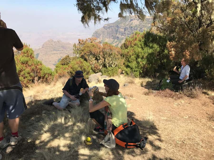 From Gondar: 2-Day Simien Mountains Trekking Tour - Geladas, flowers, and highland trees