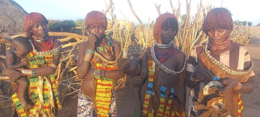 From Jinka: 4-Day Omo Valley Tour with Mursi and Hamar … - Transport, pace, and comfort