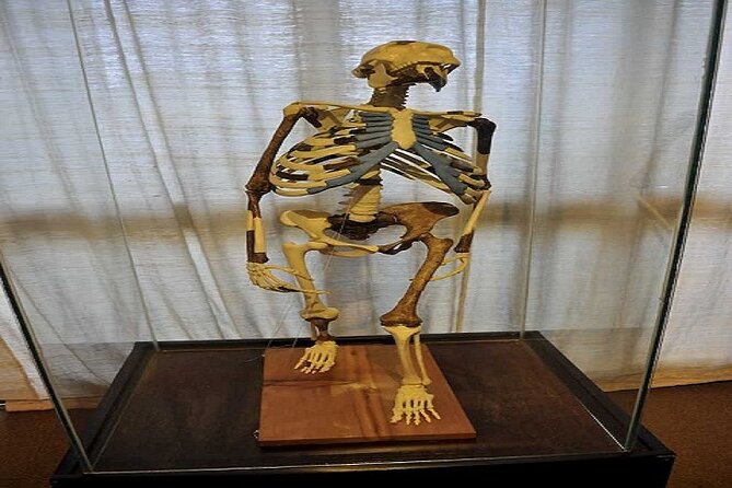 Full Day Addis Ababa City Tour with Hotel Pick Up And Drop Off - Lucy and Ethiopia’s oldest story at the National Museum