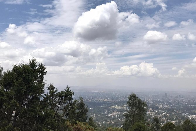 Full Day Addis Abeba City Tour - Tomoca Coffee and Ethiopia’s Coffee Tradition
