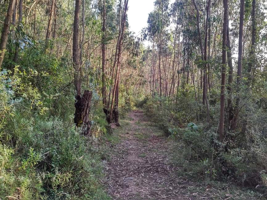 Full Day Hiking Tours to Mountain Furi - Key points about the Mount Furi day hike