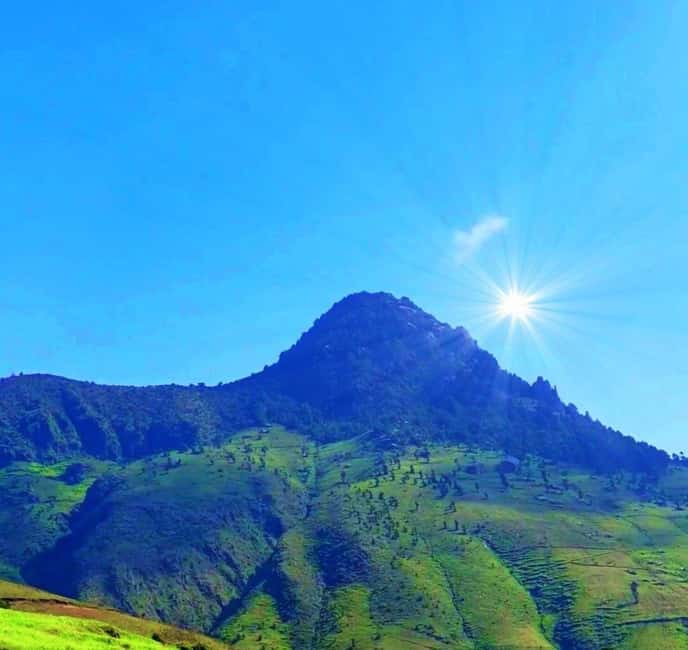 Full Day Hiking Tours to Mountain Furi - Walking through Mount Furi’s forest