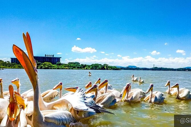 Full day Trip on Lake Tana - Key points at a glance