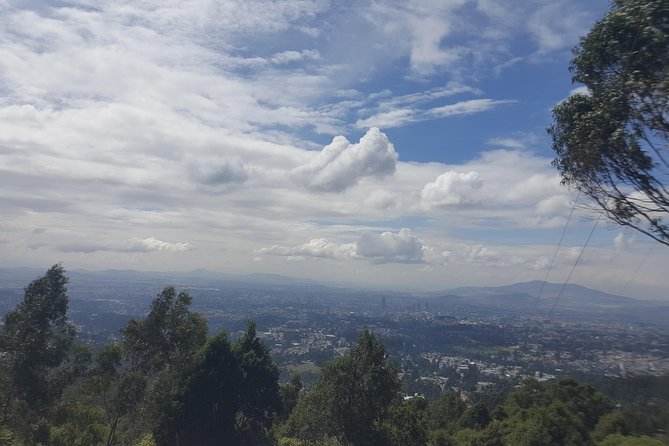 Fullday VIP Tour to The Unity Park, Friendship Park, Entoto park - The missing Friendship Park and Entoto Park question