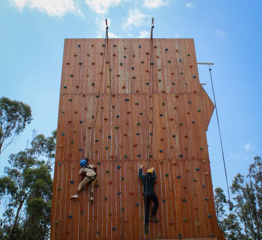 Fun adventures activities at Addis Ababa Entoto park - Ziplining Above the Trees