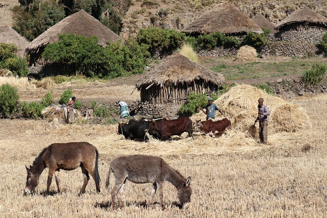 Lalibela 2-Day Eco Trekking Tour - Guides, language, and the human side of the walk