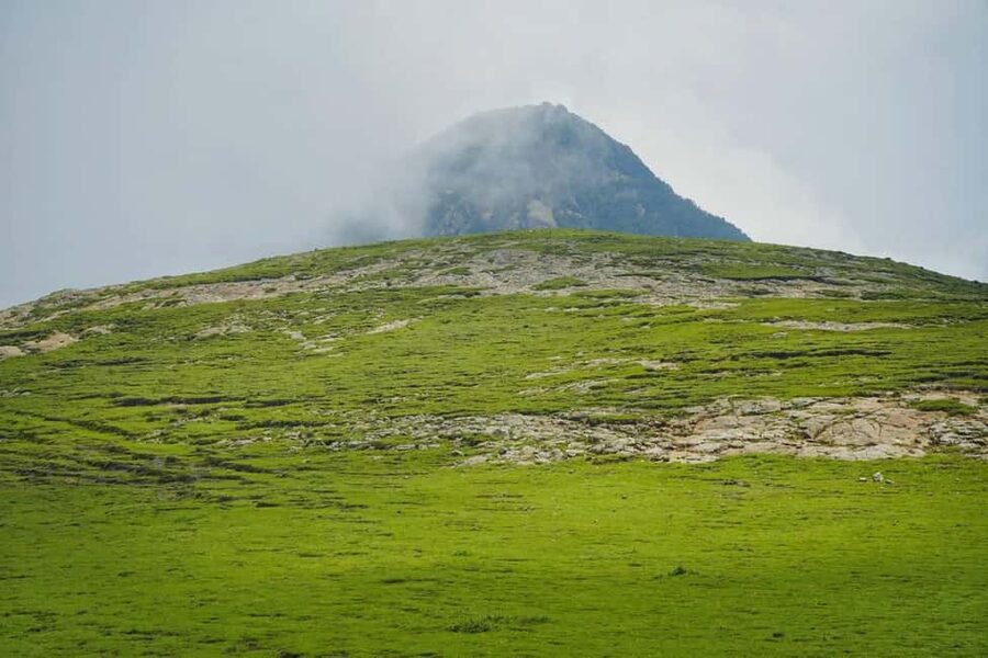 Mogle Mountain Hiking For Birding, Natures From Addis Ababa - Birding among Ethiopian Highland species