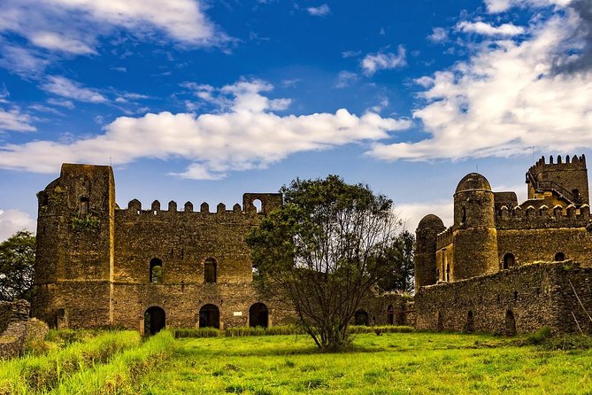 North Ethiopia Tours 12 Days From Addis Ababa - Axum: stelae, royal tombs, and sacred tradition