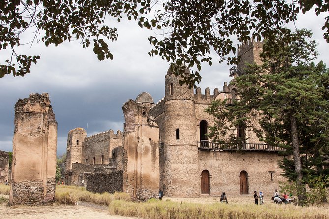 Northern Ethiopia Historic Route - Lake Tana brings island churches and waterborne history