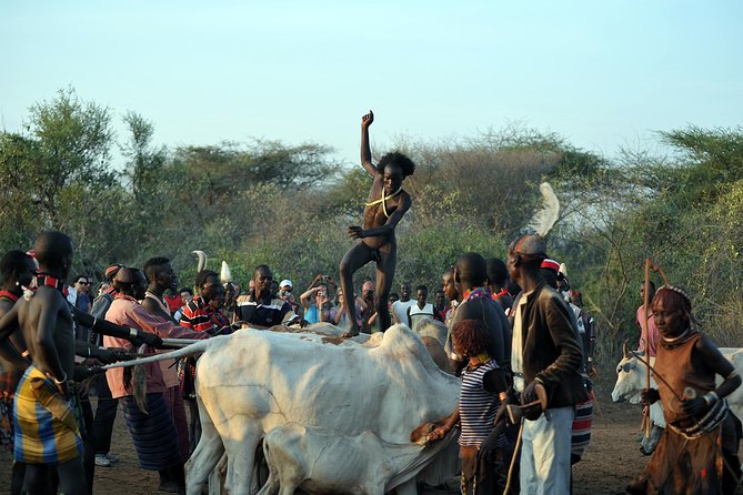 Omo Valley 5 Days - Communication, guides, and organization