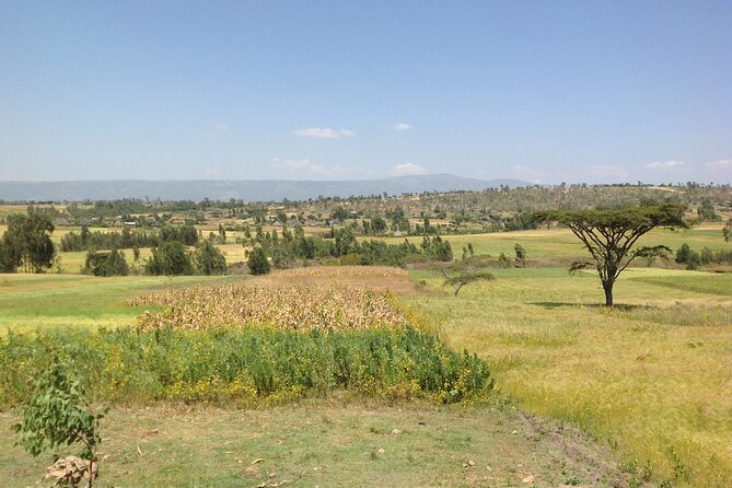 Private Full-Day Stone Age and Medieval Tour from Addis Ababa - Why this day trip works from Addis Ababa