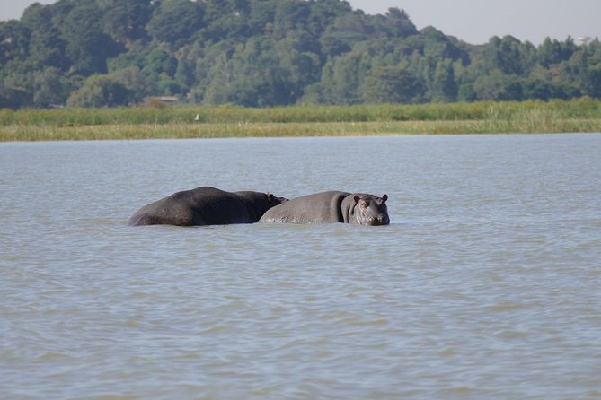 Private Guided Tours To Bahir Dar Lake Tana Monastery & Blue Nile Waterfalls - Five Things to Know Before You Book