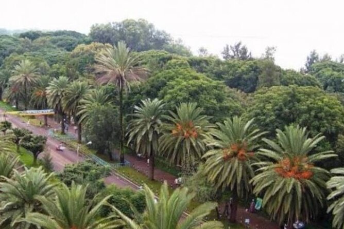 Private Guided Tours To Bahir Dar Lake Tana Monastery & Blue Nile Waterfalls - Entering Ura Kidane Mihret Monastery