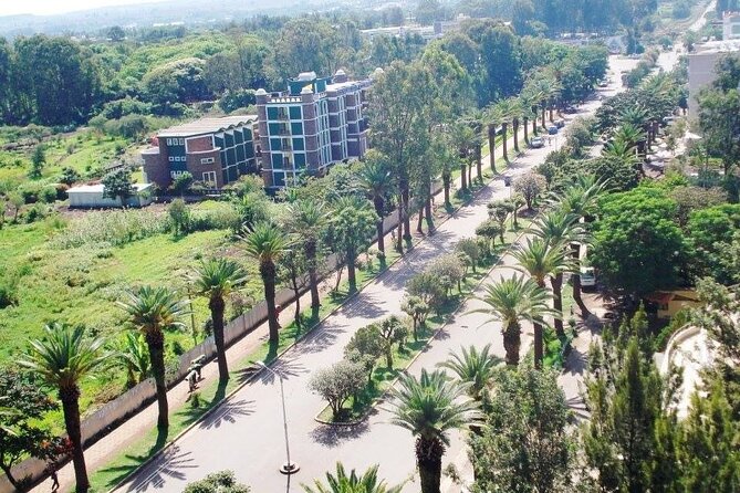 Private Guided Tours To Bahir Dar Lake Tana Monastery & Blue Nile Waterfalls - What the Guides Add to the Day