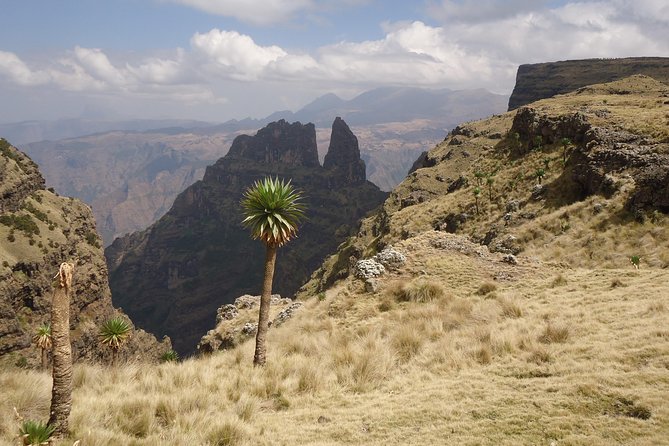 Simien Mountains National Park – 7 Day Trek - Day 4: Buwhit Pass and the search for Walia ibex
