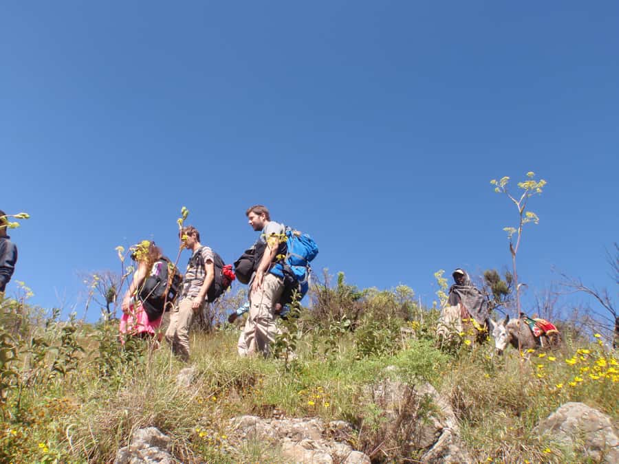 Simien Mountains One Day Trip:Wildlife Spotting,Hiking Tour - Key points before you book