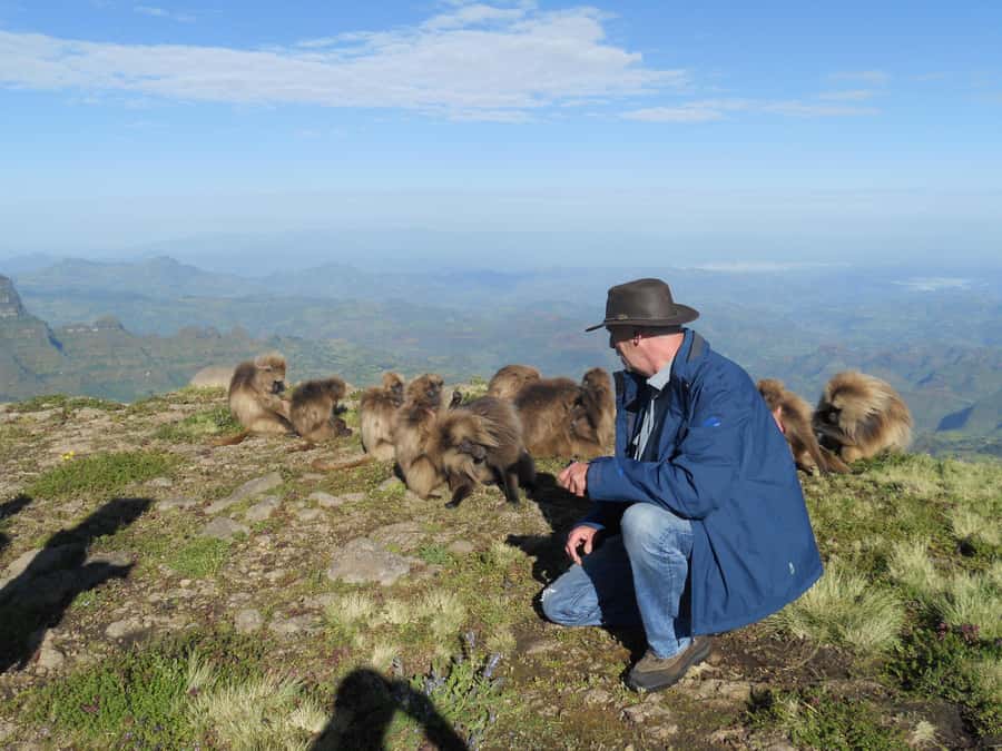 Simien Mountains One Day Trip:Wildlife Spotting,Hiking Tour - First views and the search for Geladas