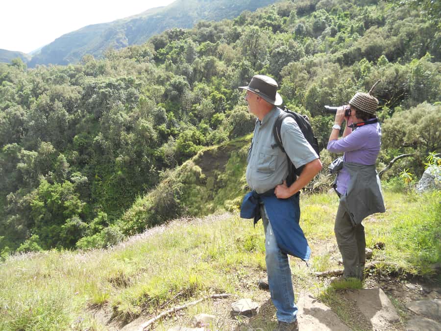 Simien Mountains One Day Trip:Wildlife Spotting,Hiking Tour - The 100-kilometer road to Debark
