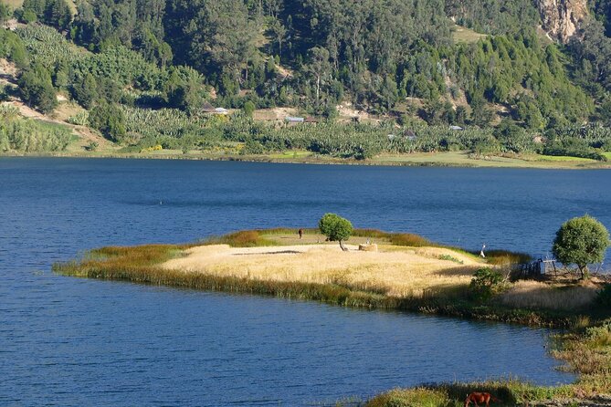 Stunning Views Wonchi Crater Lake a Private Day Trip - The 7:00 am start and the road to Woliso