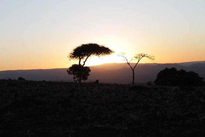 The Rock-Hewn Churches of Lalibela: 3 Days / 2 Nights - What the guide adds to the visit