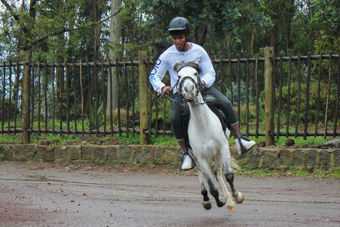 Transit passengers, layover tour through Adiss Abeba - Why a Layover Tour Works in Addis Ababa