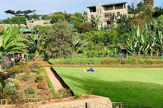 Walking Tour of Addis Abeba - Discover Addis the Authentic way - Meskel Square: Ending Among Everyday Addis Life